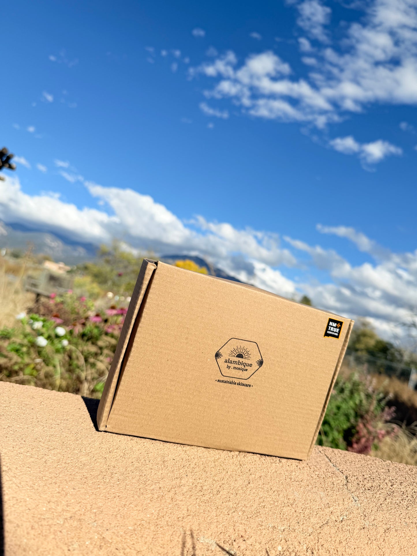 alambique skincare box on stone ledge outdoors with blue sky and desert botanicals