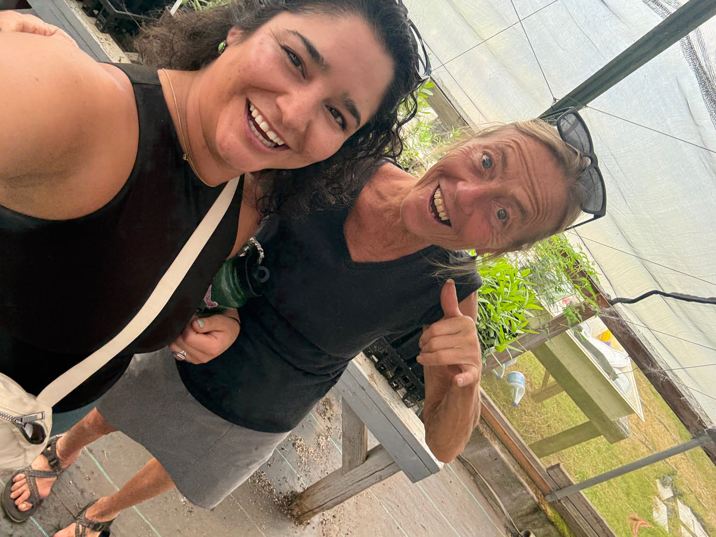 Organic Royal Hawaiian Sandalwood Essential Oil