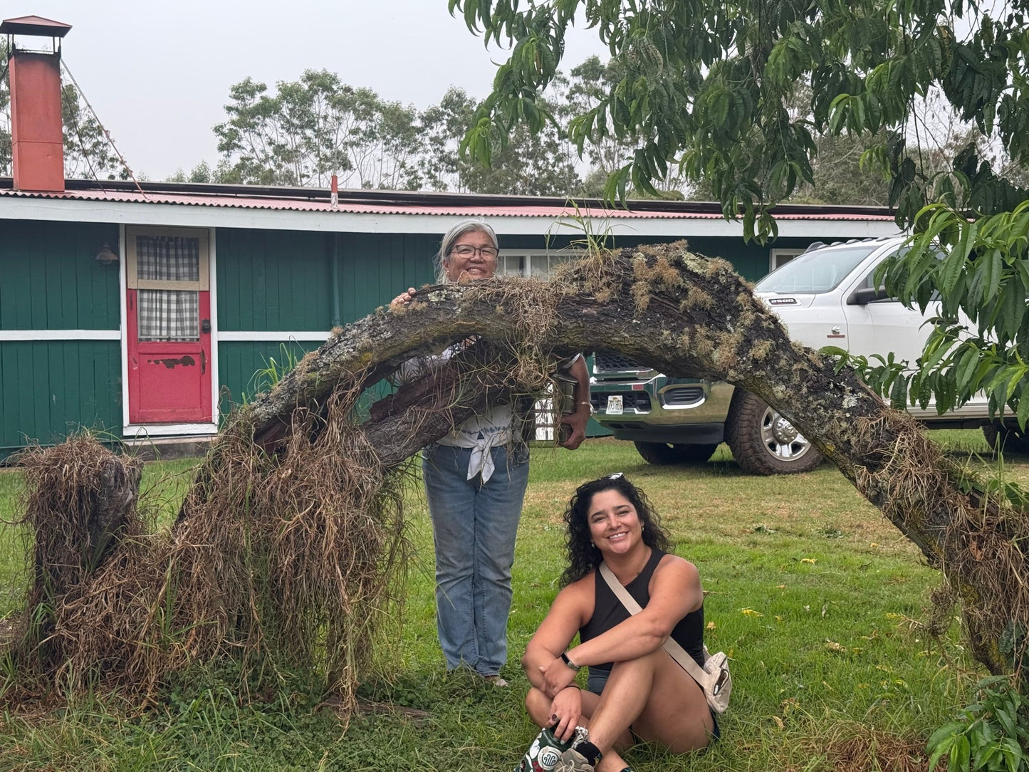 organic royal Hawaiian sandalwood essential oil •the • alambique Lillian Lee and Monique Montoya in Kona