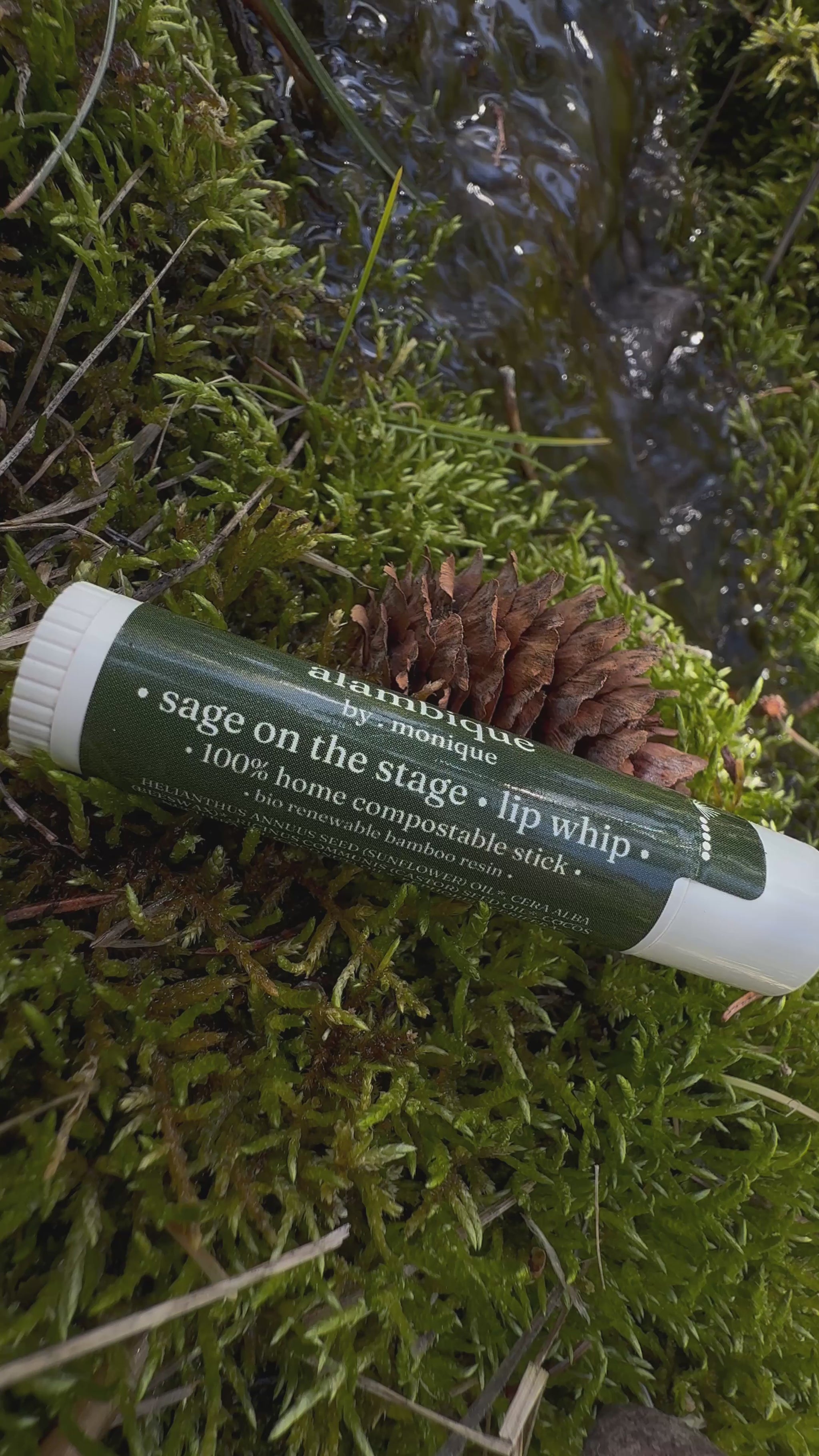 a compostable lip balm stick in a bed of moss