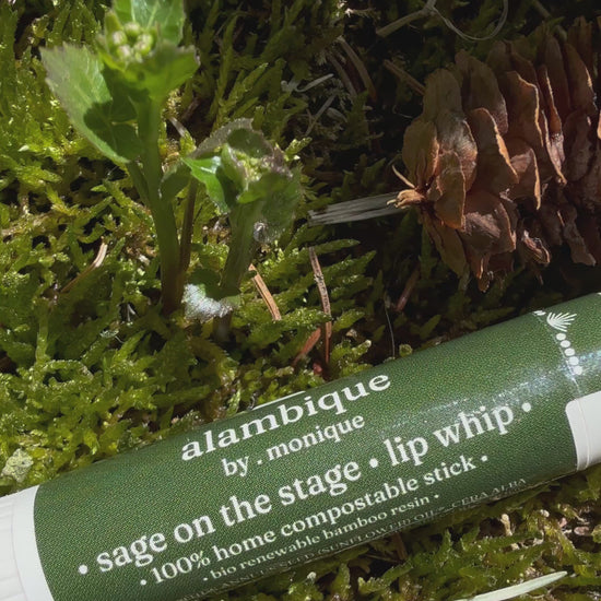 a compostable lip balm stick on a river bed with moss and pine cones 