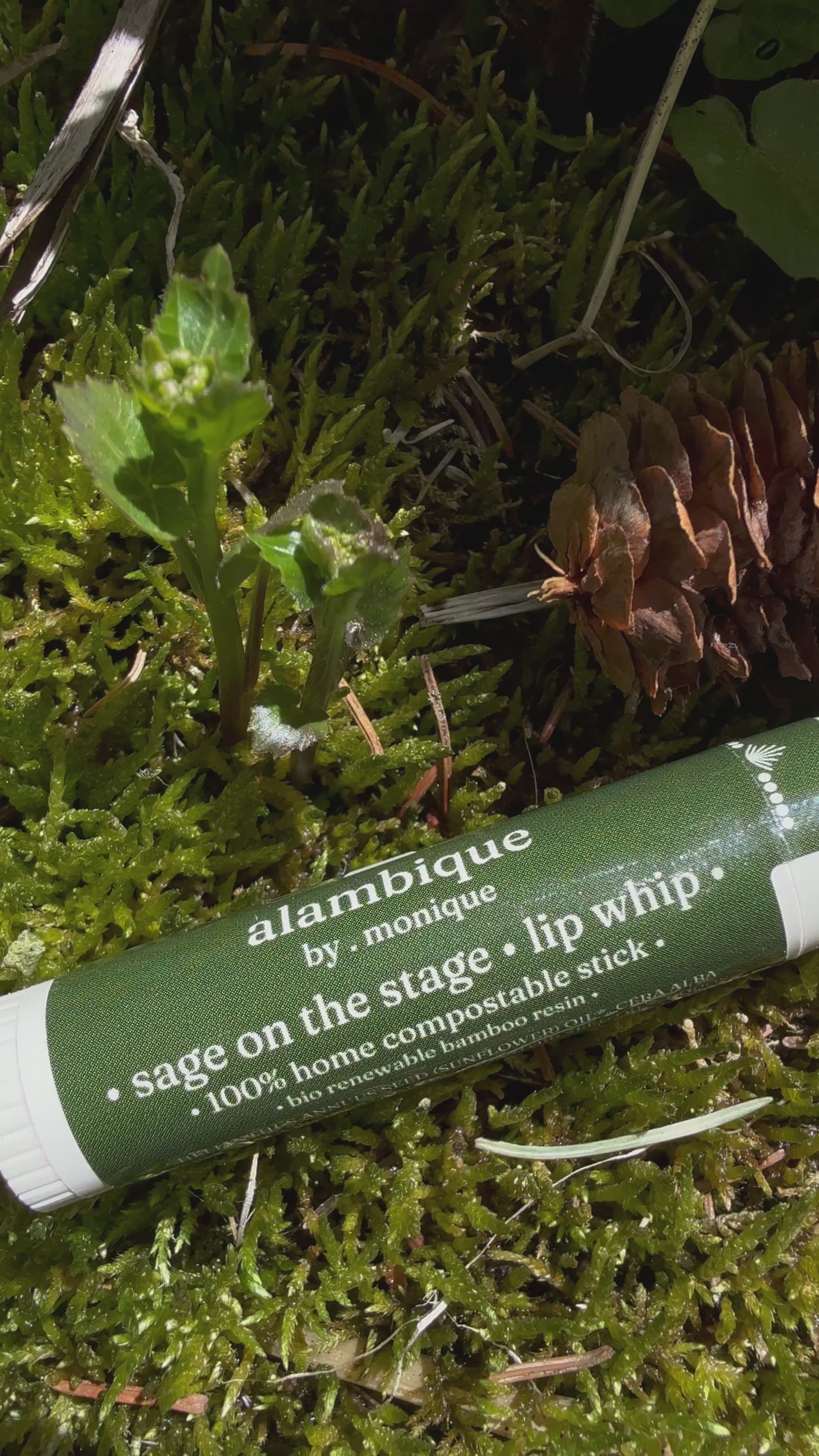 a compostable lip balm stick on a river bed with moss and pine cones 